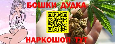 крисы Гай