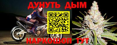 крисы Гай
