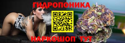 ALPHA-PVP Гатчина