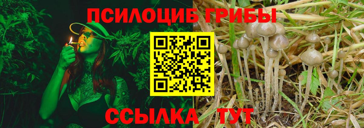 Галлюциногенные грибы Psilocybine cubensis  Вход с VPN  Тельмана  Псилоцибиновые грибы ЛСД 